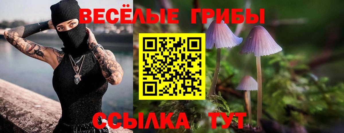 Юрга  Галлюциногенные грибы Psilocybine cubensis  Вход с VPN 